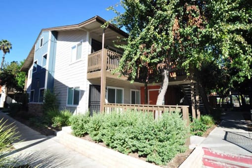 Lush Landscaping at Village Grove Apartments, California