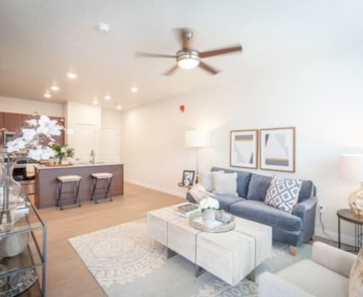 Open Living, Kitchen and Dining Area
