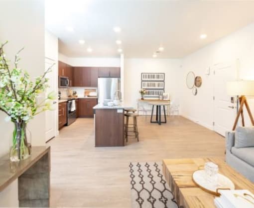 Open Living, Kitchen and Dining Area