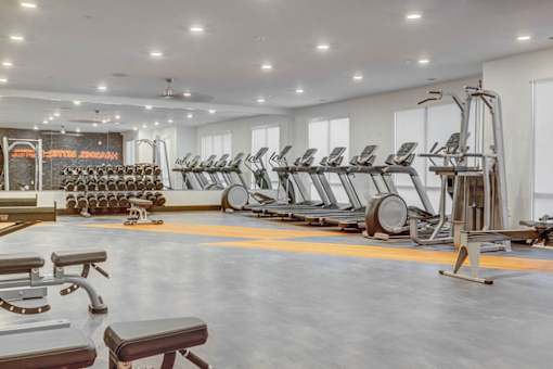 A gym with a variety of equipment including treadmills, weights, and benches.