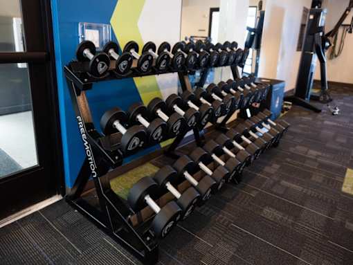 A row of black dumbbells are on a rack in a gym.