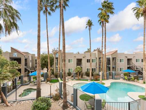 Palm Trees by Pool at Rio Seco Apartments