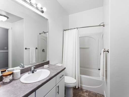 Bright Bathroom in Phase I TH at Parc at Day Dairy