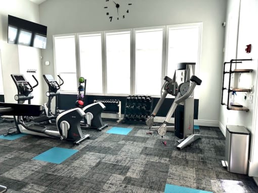 Free Weights in Gym at San Marino