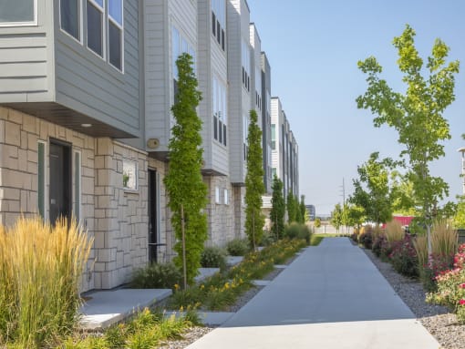 Sidewalk in front of homes at The Austin Townhomes