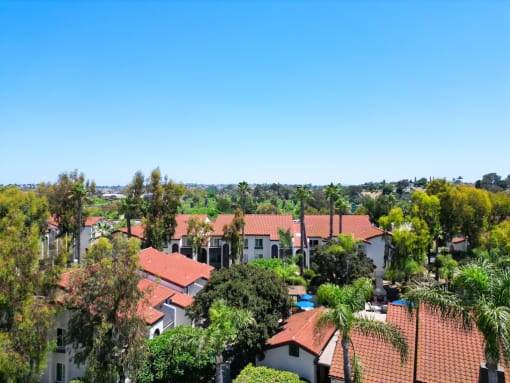 Aerial View of Eucalyptus Grove Apartments California