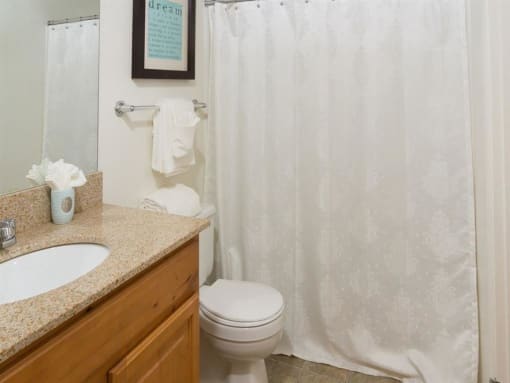 Luxurious Bathroom with Tub  at Promontory Point Apartments, Utah, 84094