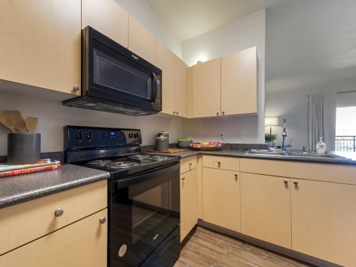 Large Countertops at Echo Ridge