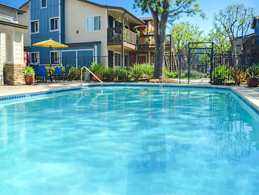 Large Pool at Village Grove