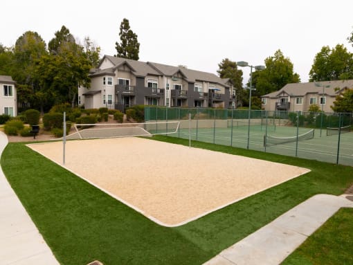 Volleyball Court at Canyon Club Apartments
