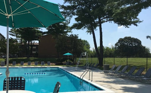 A pool with chairs and umbrellas is surrounded by trees.