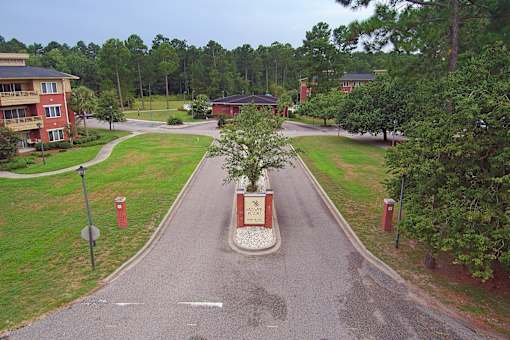 A tree stands in a planter on a street. Aviary Village Apartments, in Conway, SC 29526
