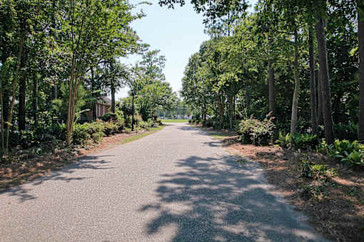 A tree-lined road stretches into the distance. The Cloisters Apartments, 902 67th Avenue North, Myrtle Beach, SC