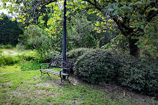 A bench sits in a grassy area under a tree. Aviary Village Apartments, in Conway, SC 29526