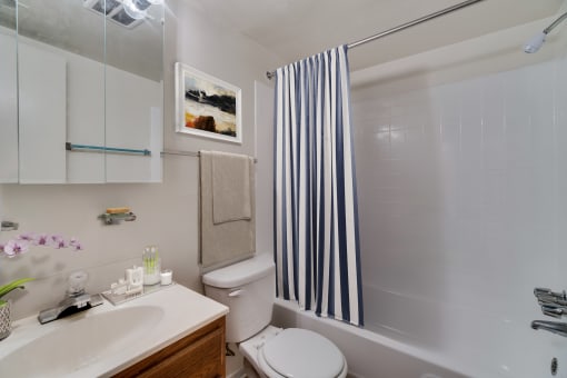Luxurious Bathroom at River Pointe Apartments, Fort Washington, Maryland