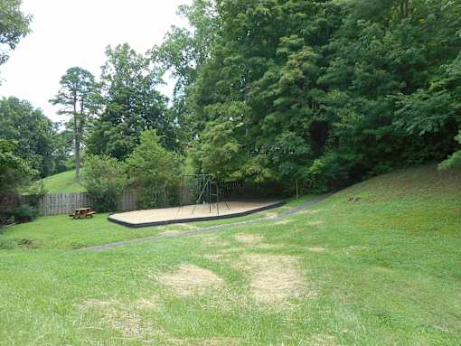 A trampoline in a grassy area surrounded by trees.