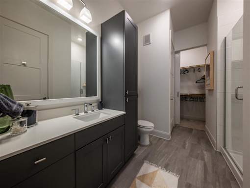 A large bathroom with a sink, mirror, toilet, linen closet, stand-up shower and access to a walk-in closet.