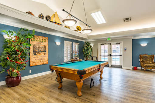 A pool table in a room with a blue wall and a plant.
