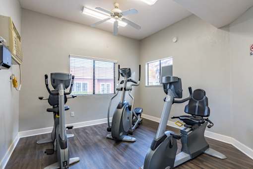 A room with a white ceiling and a fan, containing a treadmill, a stationary bike, and a rowing machine.
