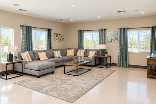 A living room with a grey sofa and a rug.