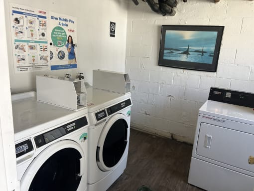 a laundry room with two washes and a washing machine