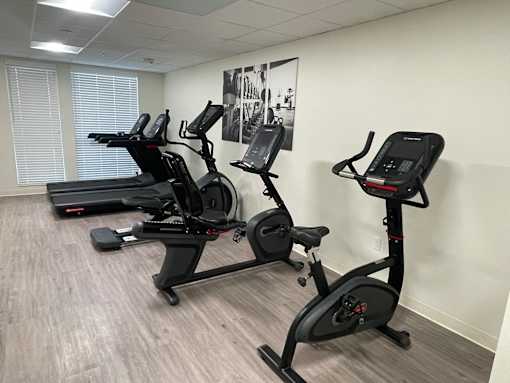 A row of stationary bikes are lined up in a gym.