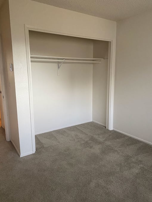 Apartment Interior Bedroom-Closet