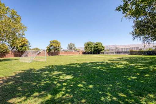 A grassy field with trees and a fence in the distance.