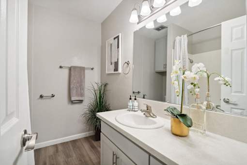 A bathroom with a white sink and a mirror.