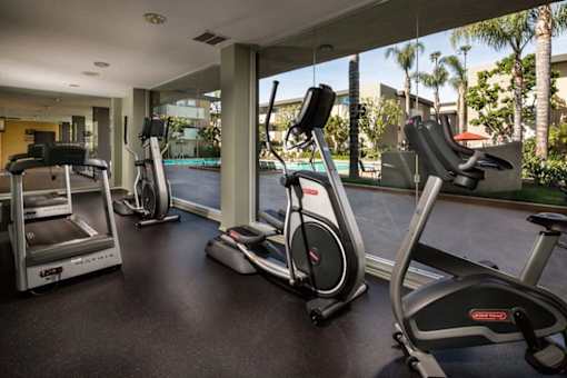 A gym with treadmills and elliptical machines.
