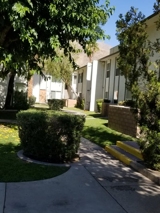 an apartment building with a sidewalk and trees in front of it