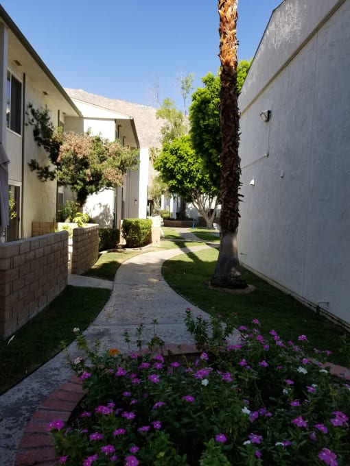 a walkway between two buildings in a yard with purple flowers