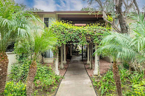 a walkway with palm trees in front of a house at The Arbors Santa Ana, California, 92705