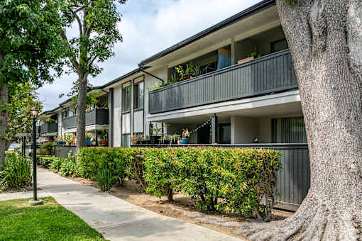 A tree is in front of a building at The Arbors Santa Ana, California, 92705