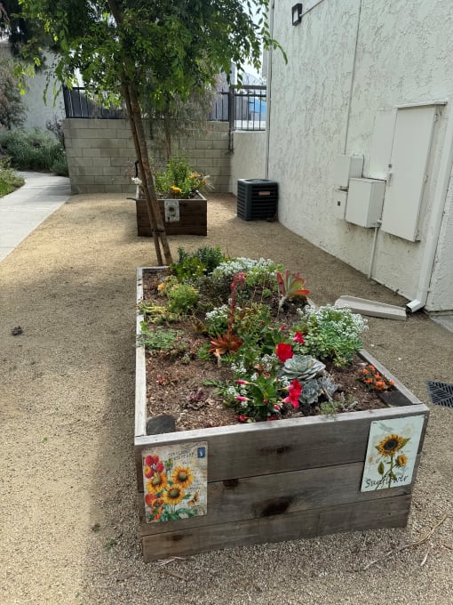 a garden area within wooden boxes next to a building