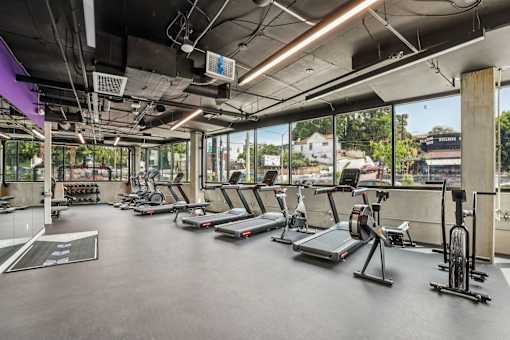 A gym with treadmills, exercise bikes, and other equipment.