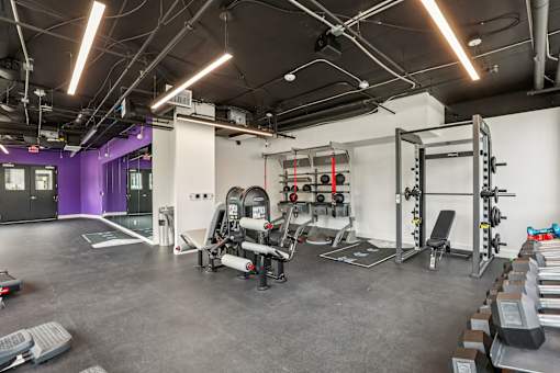 A gym with purple walls and a variety of equipment.
