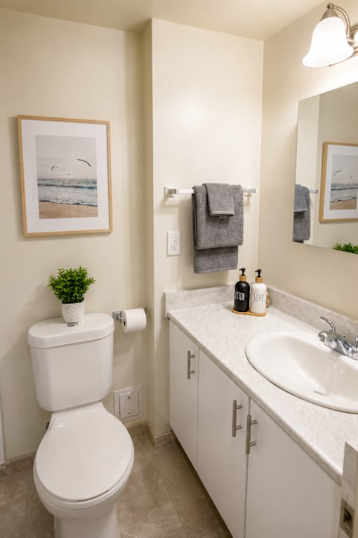 A white toilet with a plant on top of it in a bathroom.