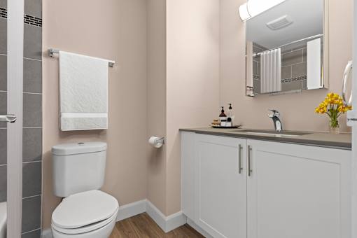 A bathroom with a toilet, sink, and mirror.