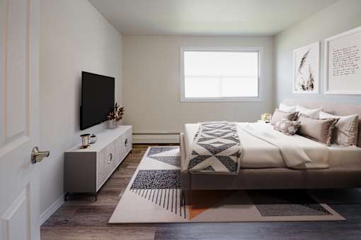 A bedroom with a bed, a television, and a rug.