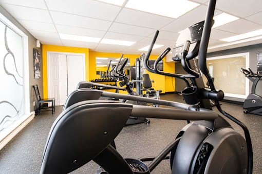 A gym with a row of stationary bikes.