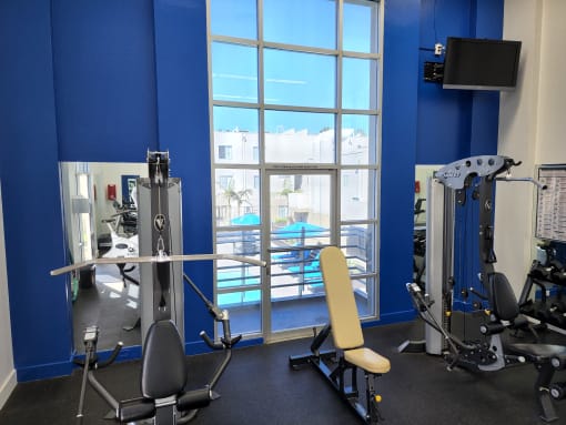 Luna's Gym