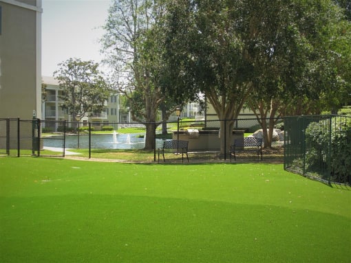 Versailles on the Lake Apartments, Dog Park