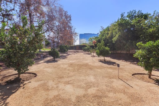 Terrace Apartments