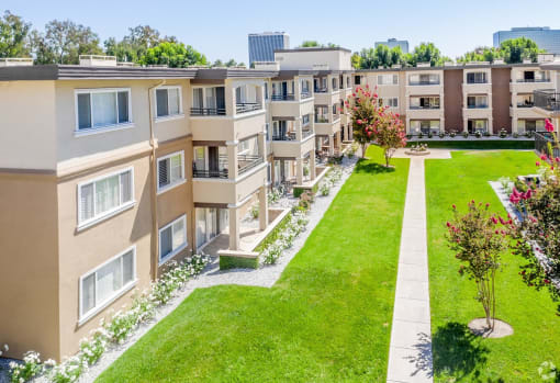 Terrace Apartments