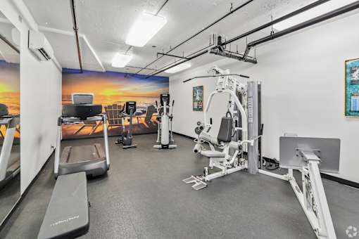 A gym with a treadmill, weights, and exercise equipment.