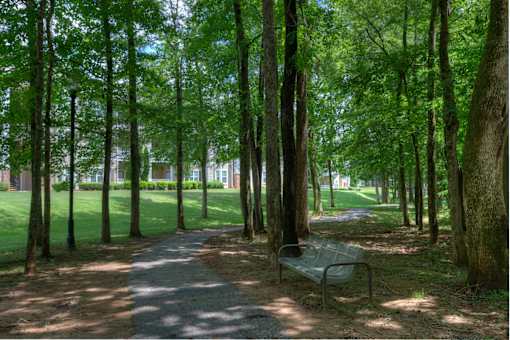 Lullwater at Bass | Walking Trails