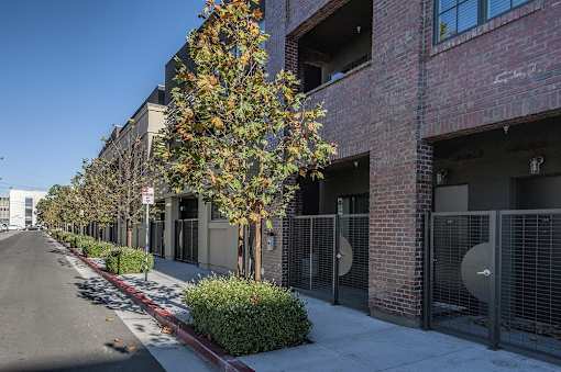 A tree with yellow leaves is in front of a brick building.