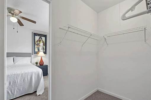 A bedroom with a bed, a ceiling fan, and a picture on the wall.