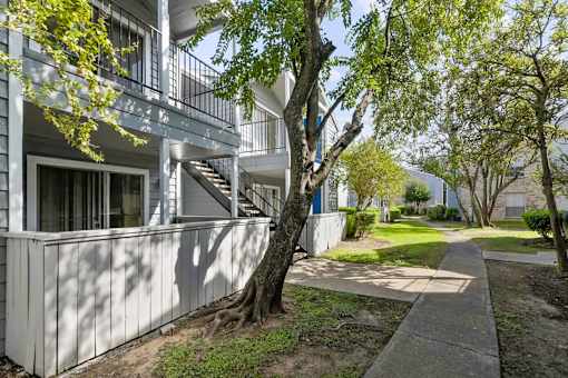 A tree with green leaves is in front of a white building.
